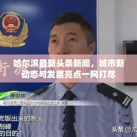 哈爾濱最新頭條新聞，城市新動態(tài)與發(fā)展亮點(diǎn)一網(wǎng)打盡