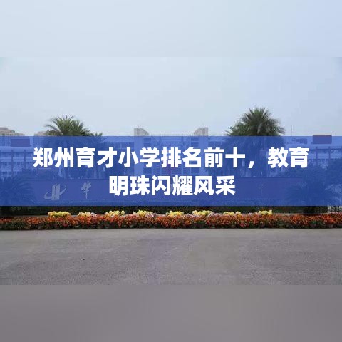 鄭州育才小學(xué)排名前十，教育明珠閃耀風(fēng)采