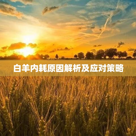 白羊內(nèi)耗原因解析及應(yīng)對(duì)策略