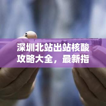 深圳北站出站核酸攻略大全，最新指南助你輕松通行