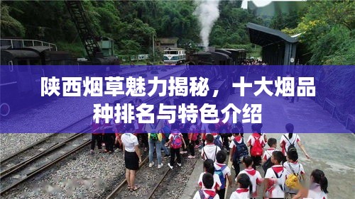 陜西煙草魅力揭秘，十大煙品種排名與特色介紹