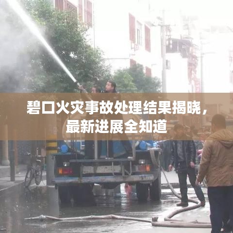 碧口火災(zāi)事故處理結(jié)果揭曉，最新進(jìn)展全知道