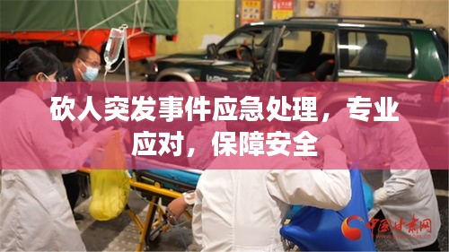 砍人突發(fā)事件應急處理，專業(yè)應對，保障安全