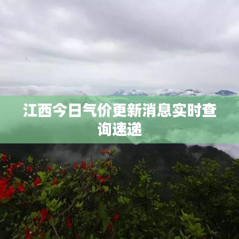 江西今日氣價更新消息實時查詢速遞