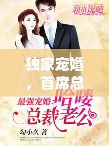 獨家寵婚，首席總裁再次深情相遇