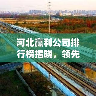 河北贏利公司排行榜揭曉，領(lǐng)先企業(yè)一覽！