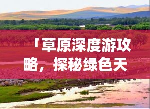 「草原深度游攻略，探秘綠色天地，盡享無邊風(fēng)光」
