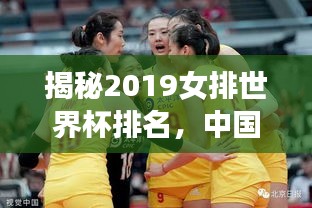 揭秘2019女排世界杯排名，中國女排輝煌成就與全球競爭格局深度解析