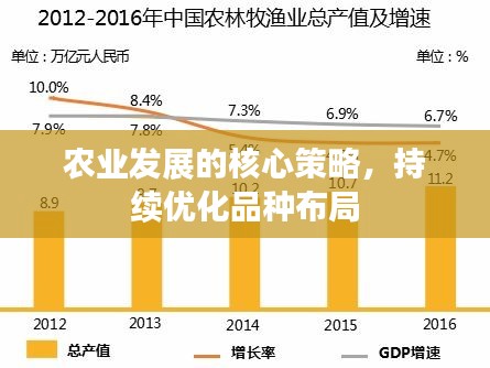 農(nóng)業(yè)發(fā)展的核心策略，持續(xù)優(yōu)化品種布局