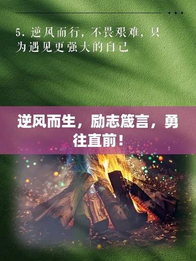 逆風(fēng)而生，勵志箴言，勇往直前！