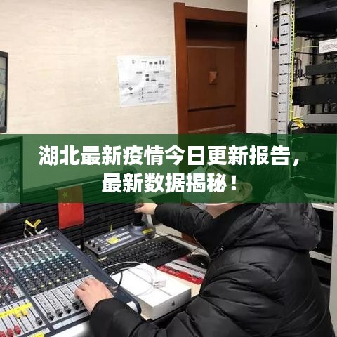 湖北最新疫情今日更新報(bào)告，最新數(shù)據(jù)揭秘！