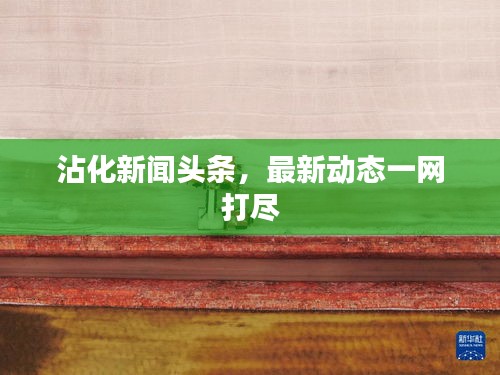 沾化新聞頭條，最新動態(tài)一網(wǎng)打盡