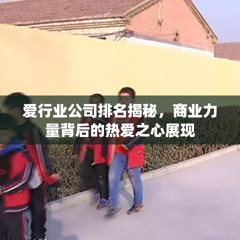 愛行業(yè)公司排名揭秘，商業(yè)力量背后的熱愛之心展現(xiàn)