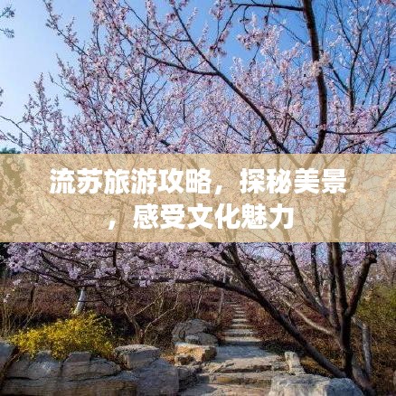 流蘇旅游攻略，探秘美景，感受文化魅力