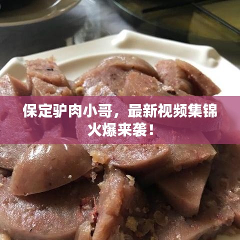 保定驢肉小哥，最新視頻集錦火爆來襲！