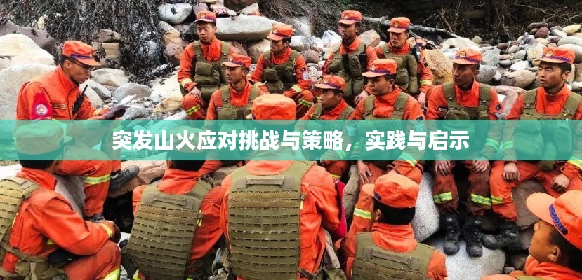 突發(fā)山火應對挑戰(zhàn)與策略，實踐與啟示