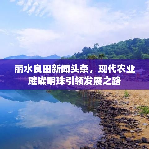 麗水良田新聞頭條，現(xiàn)代農(nóng)業(yè)璀璨明珠引領發(fā)展之路
