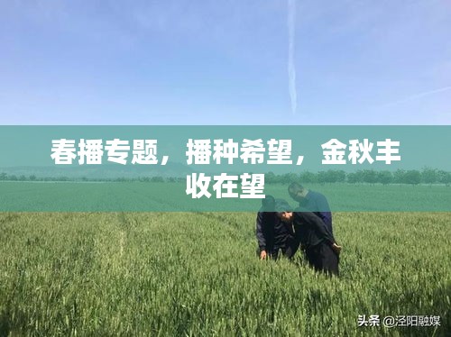 春播專(zhuān)題，播種希望，金秋豐收在望