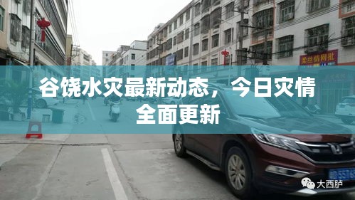 谷饒水災(zāi)最新動(dòng)態(tài)，今日災(zāi)情全面更新