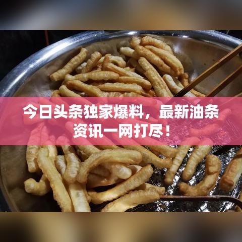 今日頭條獨(dú)家爆料，最新油條資訊一網(wǎng)打盡！