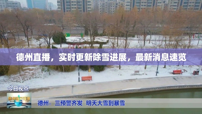 德州直播，實時更新除雪進展，最新消息速覽