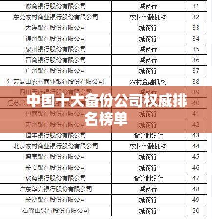 中國十大備份公司權(quán)威排名榜單