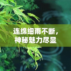 連綿細雨不斷，神秘魅力盡顯