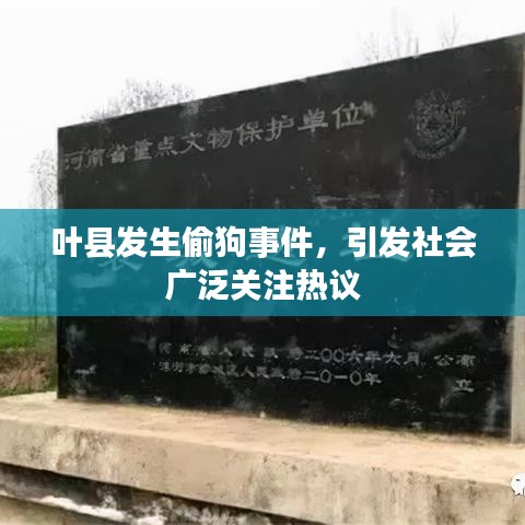 葉縣發(fā)生偷狗事件，引發(fā)社會(huì)廣泛關(guān)注熱議