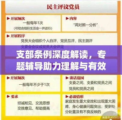 支部條例深度解讀，專題輔導(dǎo)助力理解與有效實(shí)施
