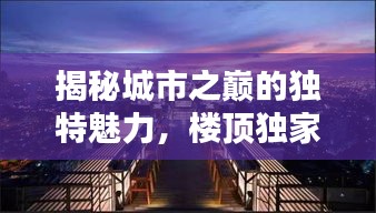 揭秘城市之巔的獨特魅力，樓頂獨家獨院的私密空間探索