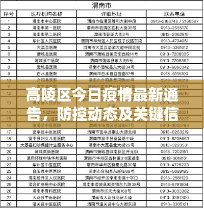 高陵區(qū)今日疫情最新通告，防控動態(tài)及關(guān)鍵信息匯總