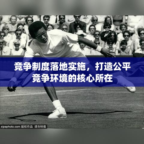 競(jìng)爭(zhēng)制度落地實(shí)施，打造公平競(jìng)爭(zhēng)環(huán)境的核心所在