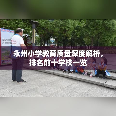 永州小學(xué)教育質(zhì)量深度解析，排名前十學(xué)校一覽