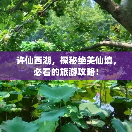 許仙西湖，探秘絕美仙境，必看的旅游攻略！