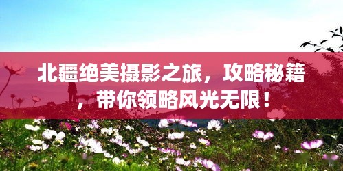 北疆絕美攝影之旅，攻略秘籍，帶你領(lǐng)略風(fēng)光無限！