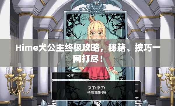 Hime犬公主終極攻略，秘籍、技巧一網(wǎng)打盡！