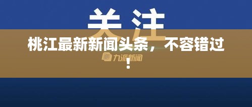 桃江最新新聞頭條，不容錯過！