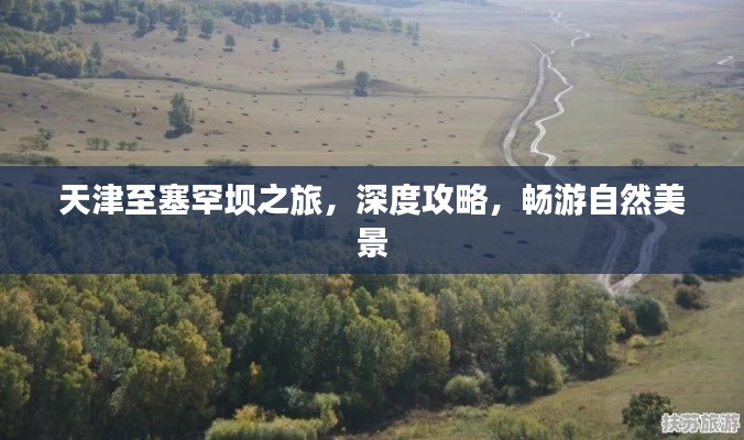 天津至塞罕壩之旅，深度攻略，暢游自然美景