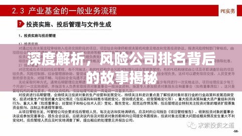 深度解析，風險公司排名背后的故事揭秘
