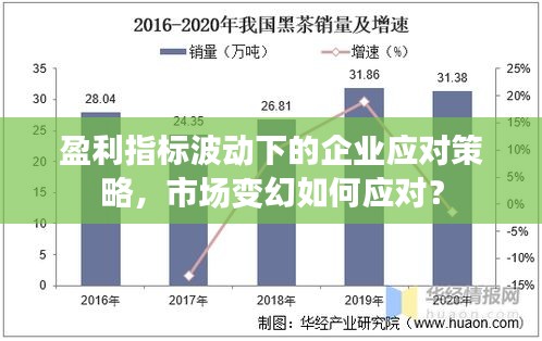 盈利指標(biāo)波動(dòng)下的企業(yè)應(yīng)對策略，市場變幻如何應(yīng)對？