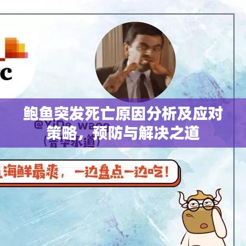 鮑魚突發(fā)死亡原因分析及應(yīng)對策略，預(yù)防與解決之道