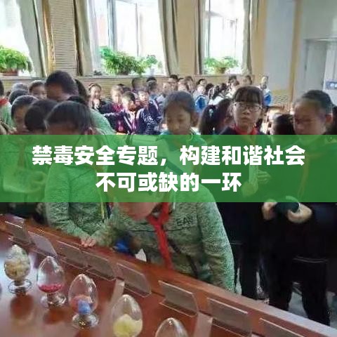 禁毒安全專題，構建和諧社會不可或缺的一環(huán)