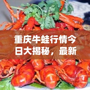 重慶牛蛙行情今日大揭秘，最新動(dòng)態(tài)一網(wǎng)打盡