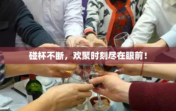 碰杯不斷，歡聚時(shí)刻盡在眼前！