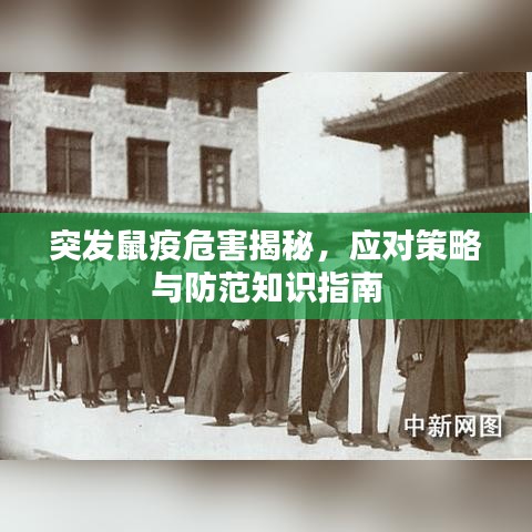 突發(fā)鼠疫危害揭秘，應對策略與防范知識指南