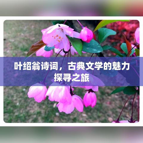 葉紹翁詩詞，古典文學的魅力探尋之旅