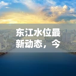 東江水位最新動態(tài)，今日消息一網(wǎng)打盡！