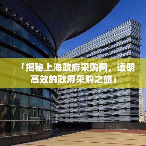「揭秘上海政府采購網(wǎng)，透明高效的政府采購之旅」