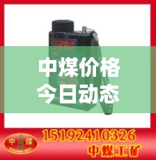 中煤價格今日動態(tài)，最新消息全面解析