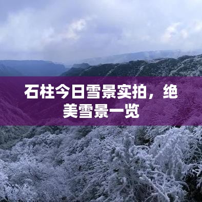 石柱今日雪景實(shí)拍，絕美雪景一覽